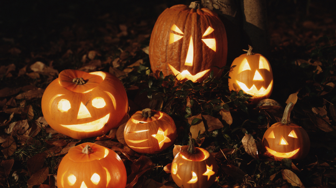 Обои тыквенных, Джек о фонарь, фонарь, Карвинг овощей, тыква в разрешении 1366x768
