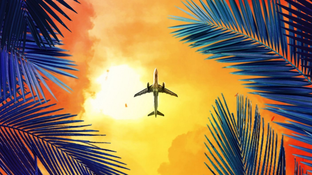 Обои Оранжевый цвет, пальмовые рощи, полет, самолеты, авиация в разрешении 1280x720