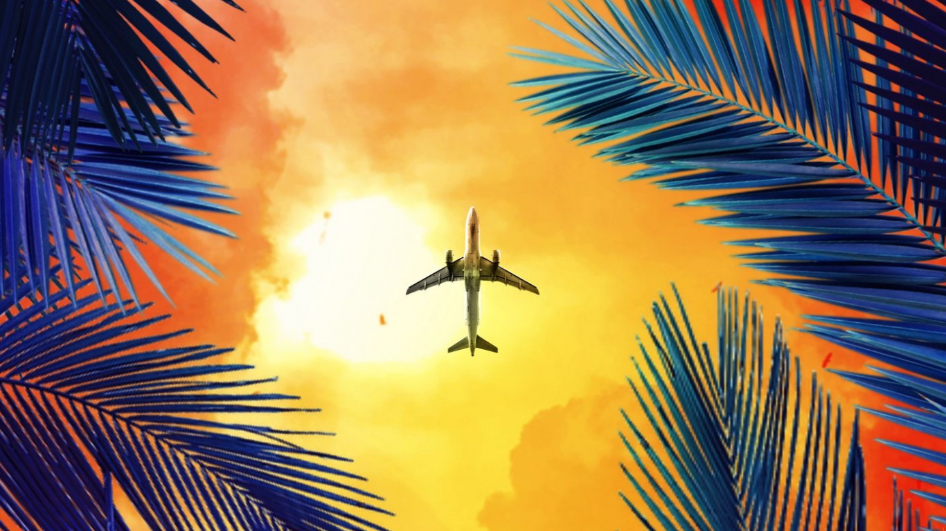 Обои Оранжевый цвет, пальмовые рощи, полет, самолеты, авиация в разрешении 1366x768
