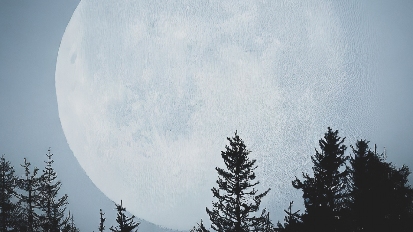 Обои атмосфера, природный ландшафт, мир, ветвь, луна в разрешении 1366x768