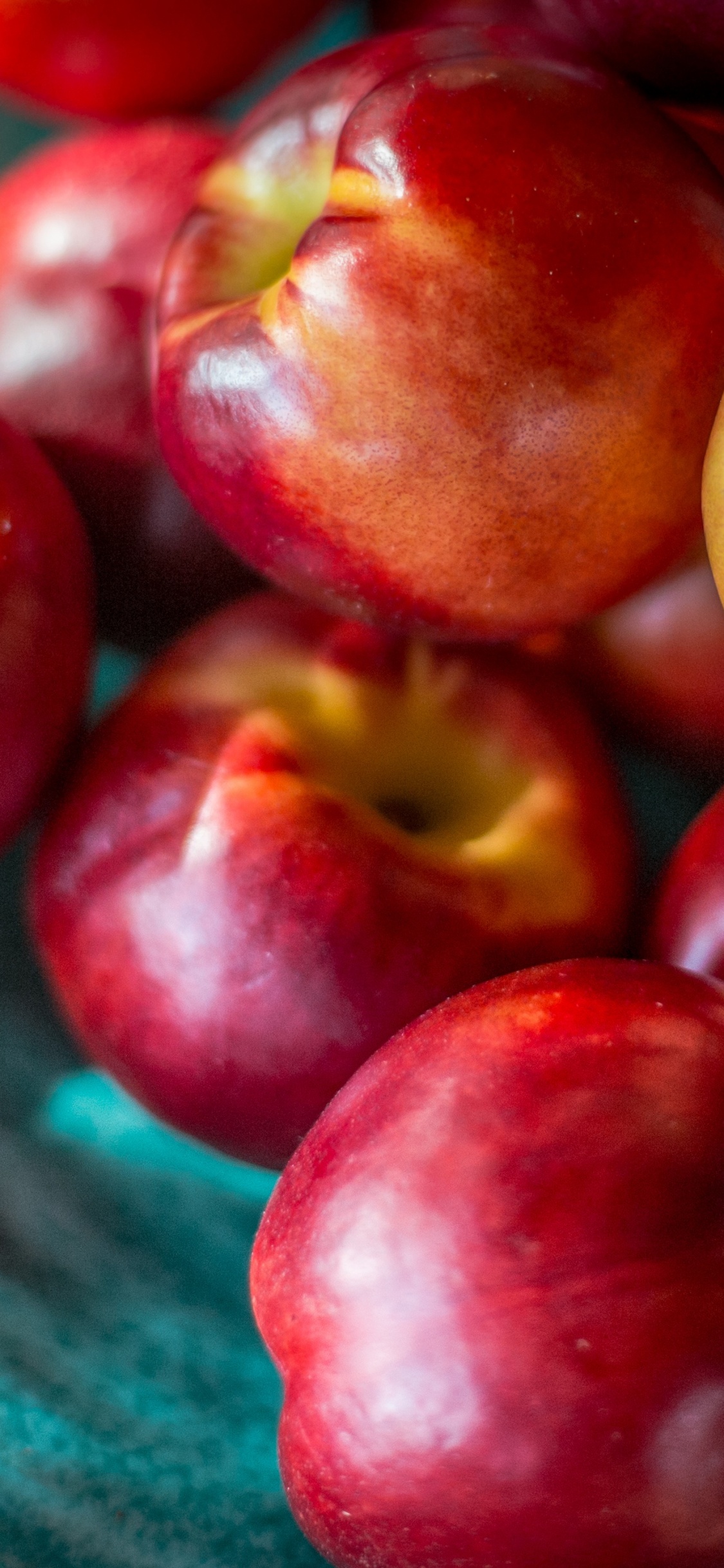 Обои фрукты, природные продукты, пища, apple, растение в разрешении 1125x2436