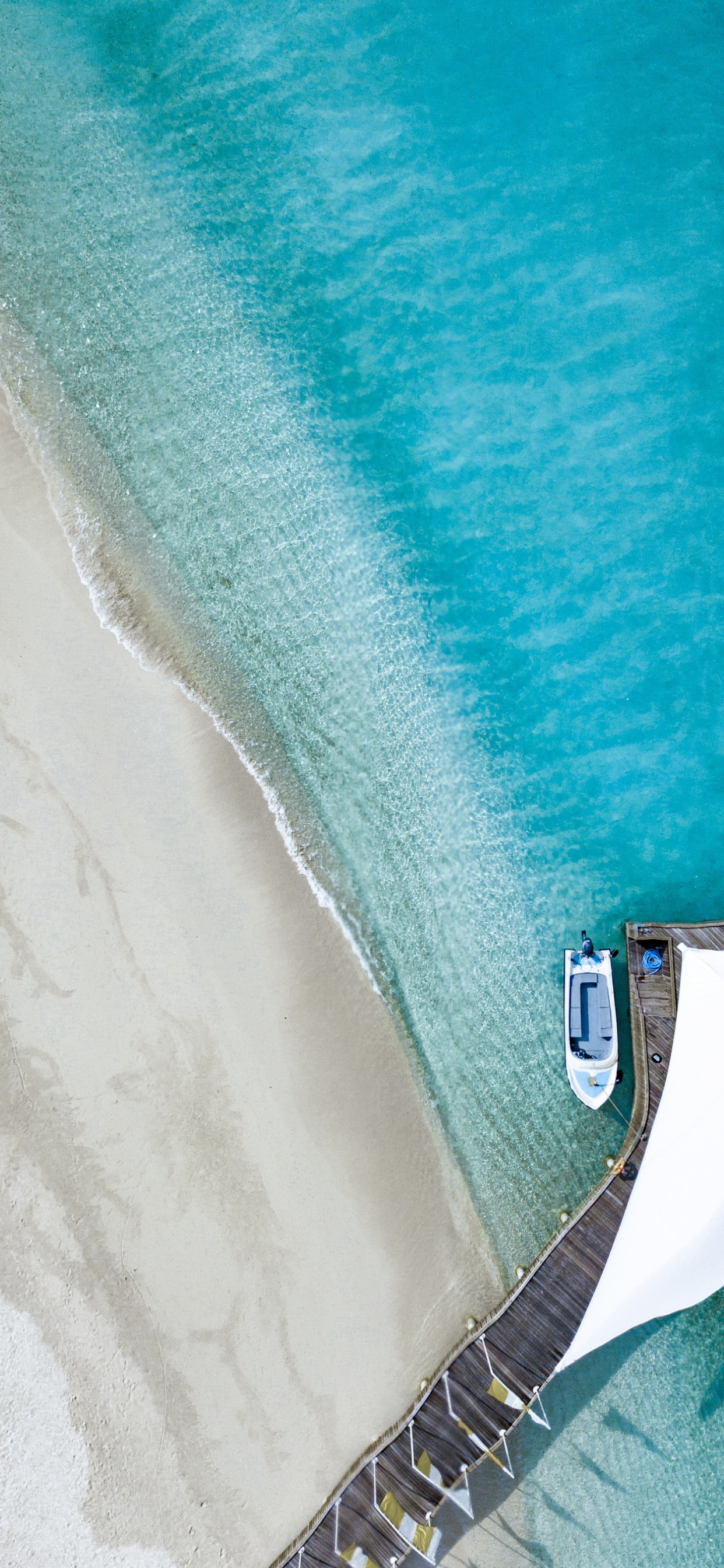 Обои синий, бирюза, Аква, чирок, лазурный в разрешении 1242x2688