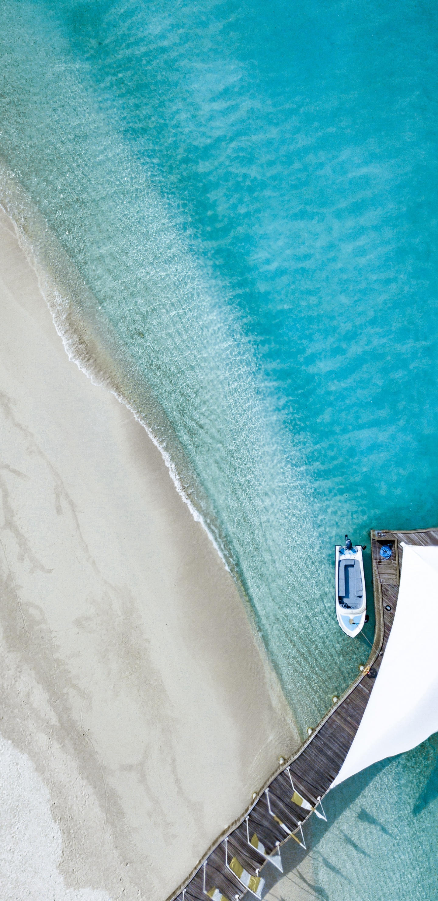 Обои синий, бирюза, Аква, чирок, лазурный в разрешении 1440x2960