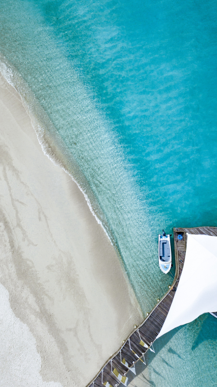 Обои синий, бирюза, Аква, чирок, лазурный в разрешении 750x1334