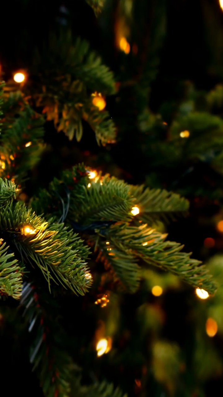 Обои Новый год, Рождество, пихта, Рождественский день, Рождественские огни в разрешении 720x1280