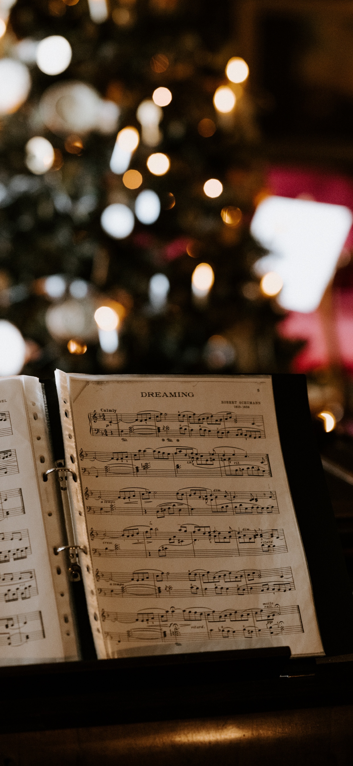 Обои измеритель, текст, фортепьяно, контрабас, диксиленд в разрешении 1242x2688