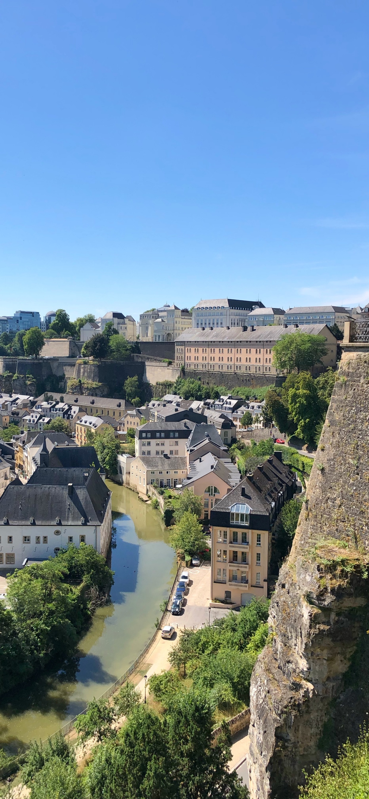 Обои соседство, пейзаж, дерево, жилой район, пригород в разрешении 1242x2688