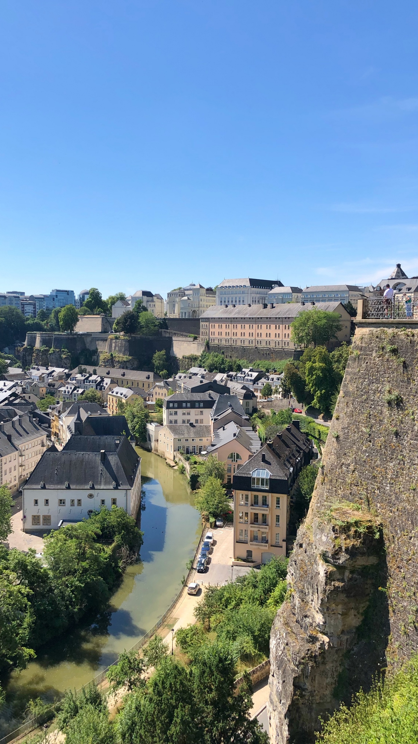 Обои соседство, пейзаж, дерево, жилой район, пригород в разрешении 1440x2560