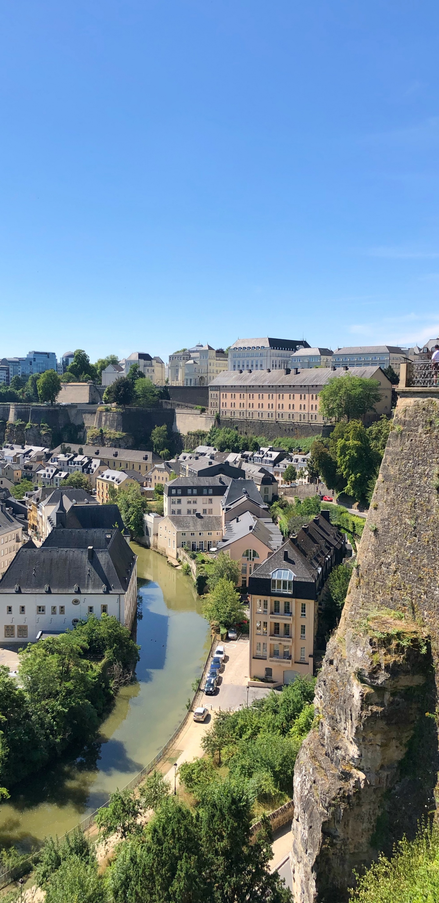 Обои соседство, пейзаж, дерево, жилой район, пригород в разрешении 1440x2960