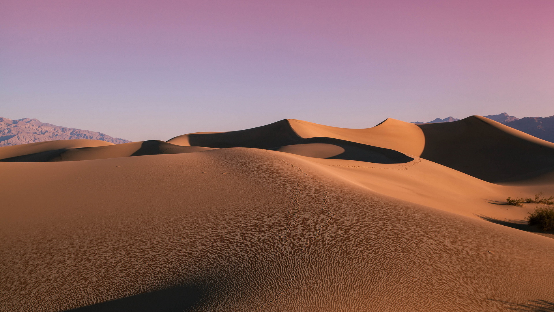 Обои эрг, поющий песок, Дюна, пустыня, песок в разрешении 1920x1080