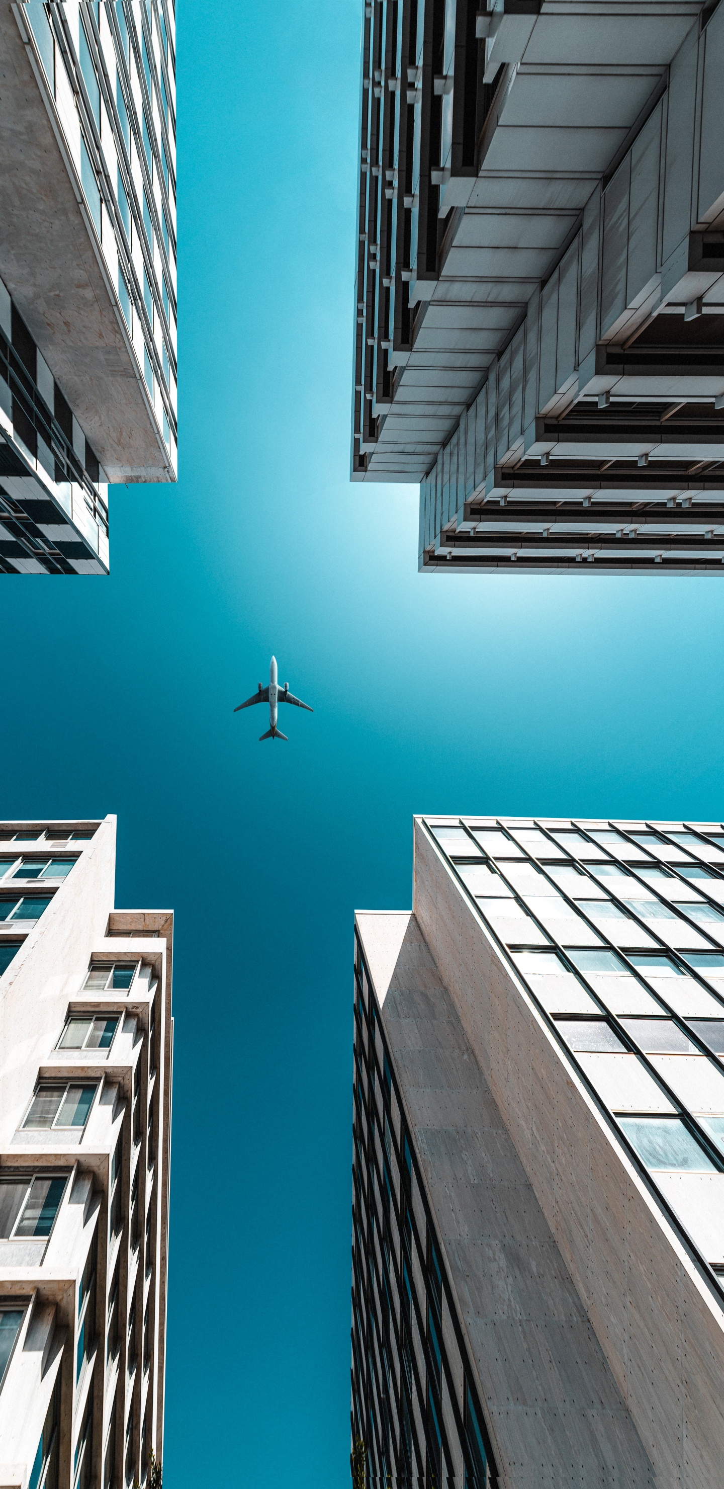 Обои soundcloud, арт, иллюстрация, обложка альбома, Альбом в разрешении 1440x2960