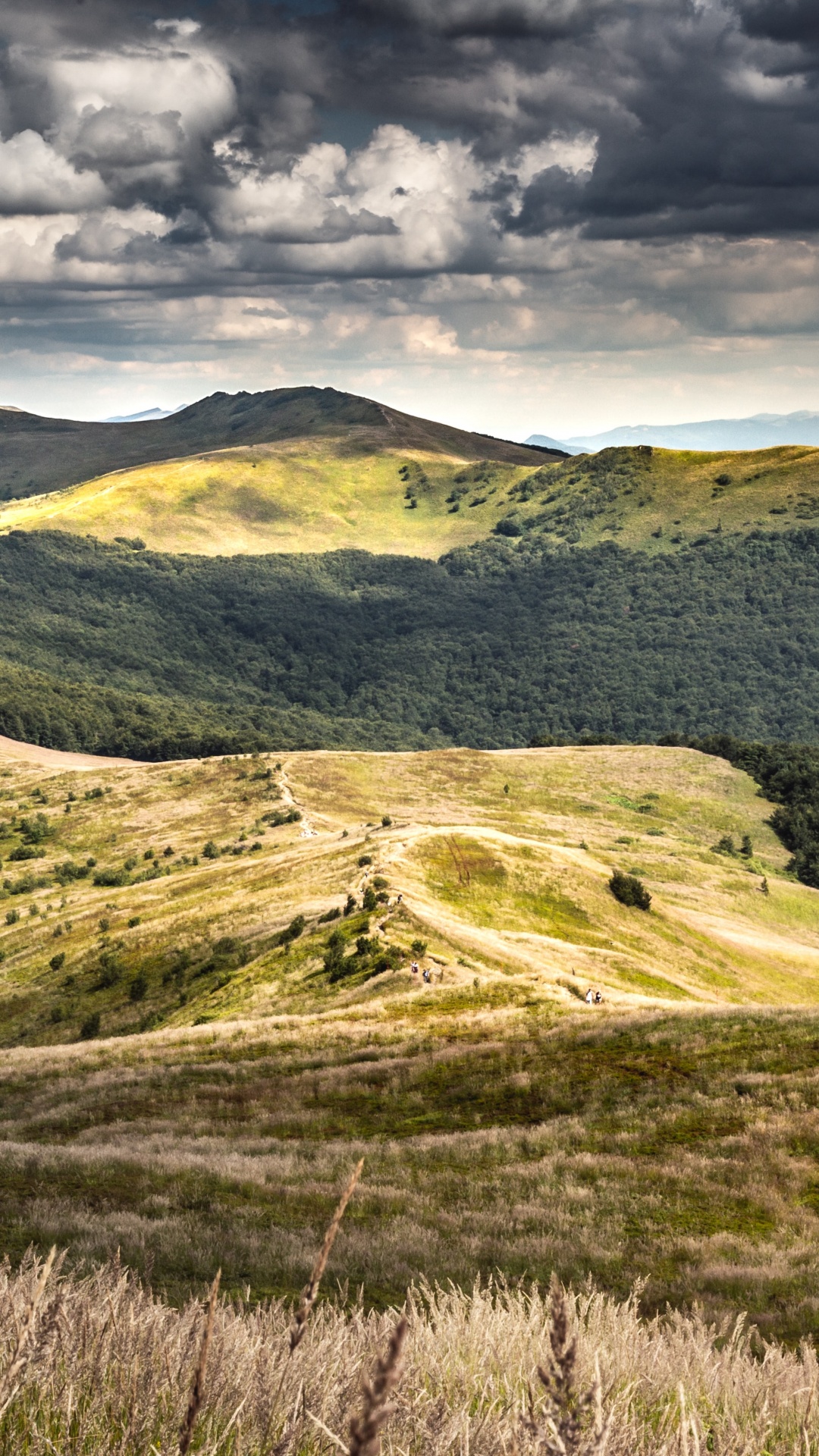 Обои хижина Пуха, Бещады, Моровича, Пунина Ветлиска, smerek в разрешении 1080x1920