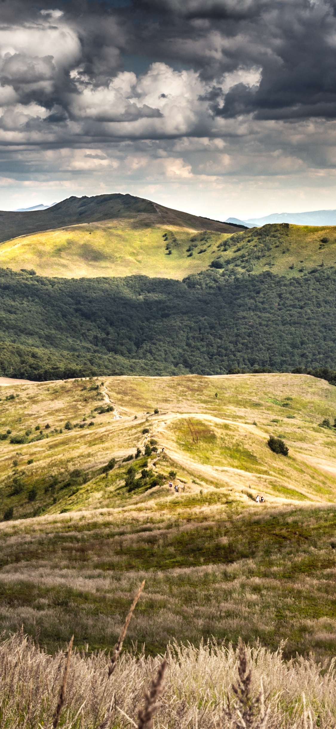 Обои хижина Пуха, Бещады, Моровича, Пунина Ветлиска, smerek в разрешении 1125x2436