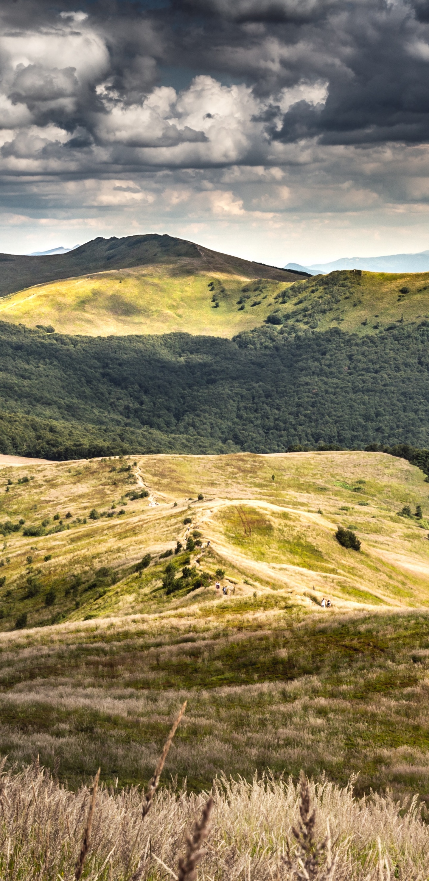 Обои хижина Пуха, Бещады, Моровича, Пунина Ветлиска, smerek в разрешении 1440x2960