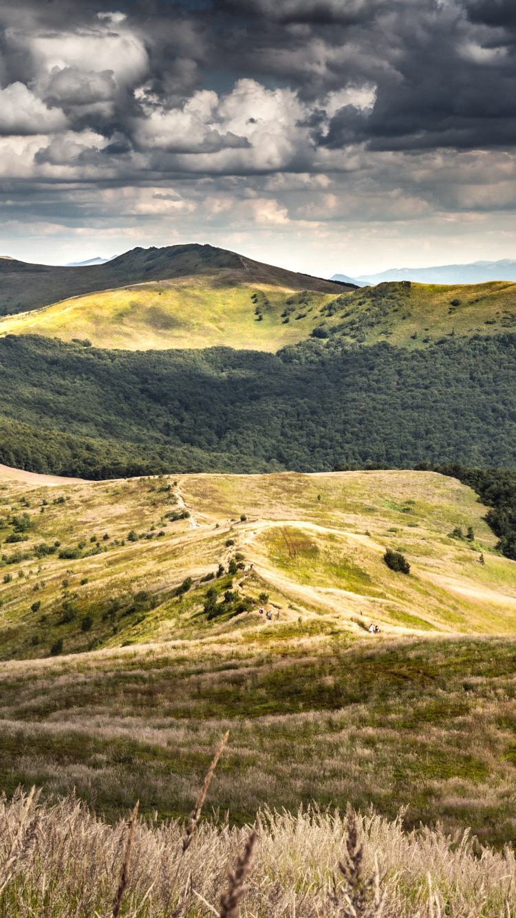 Обои хижина Пуха, Бещады, Моровича, Пунина Ветлиска, smerek в разрешении 750x1334