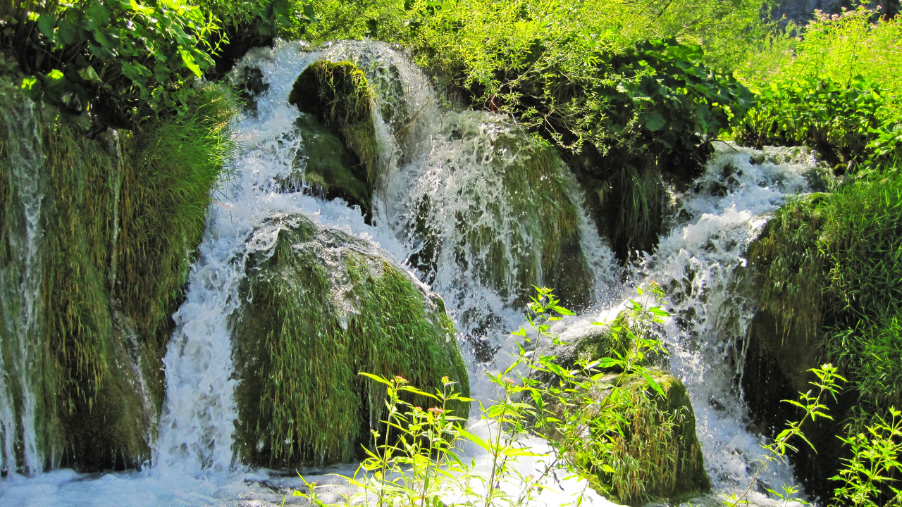Обои растительность, национальный парк плитвицкие озера, водопад, природный заповедник, национальный парк в разрешении 1280x720