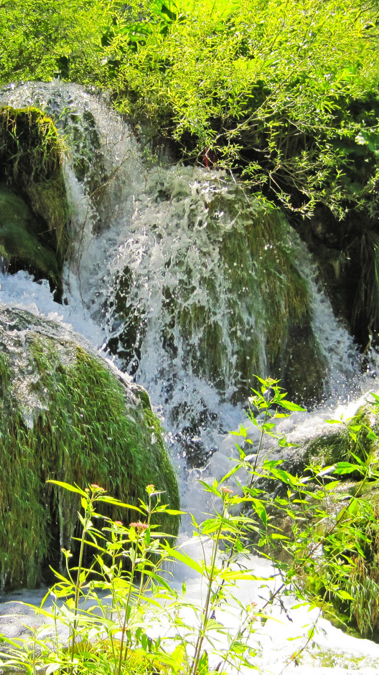 Обои растительность, национальный парк плитвицкие озера, водопад, природный заповедник, национальный парк в разрешении 750x1334