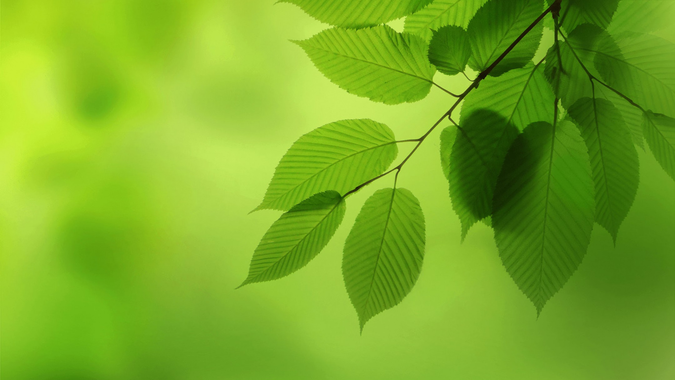 Обои Huawei, Huawei Nova, Huawei Nova 2, Huawei fresh 2 Подробнее, смартфон в разрешении 1366x768