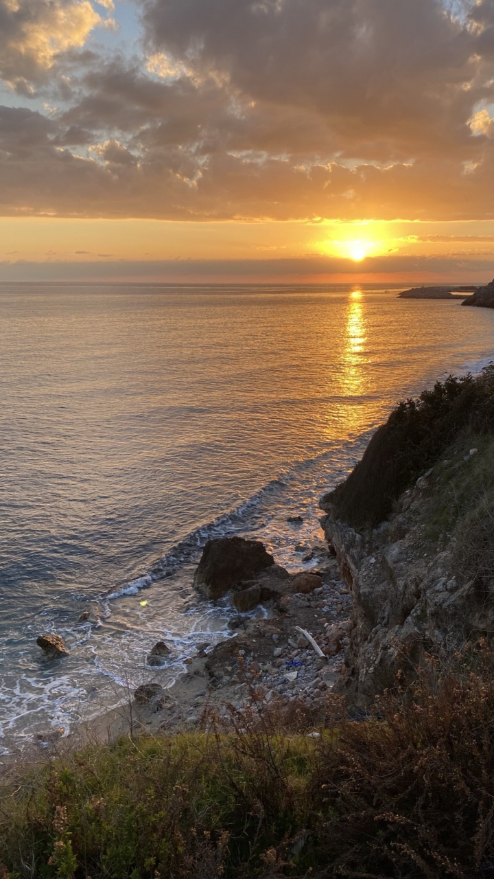 Обои побережье, облако, вода, гидроресурсы, растение в разрешении 720x1280