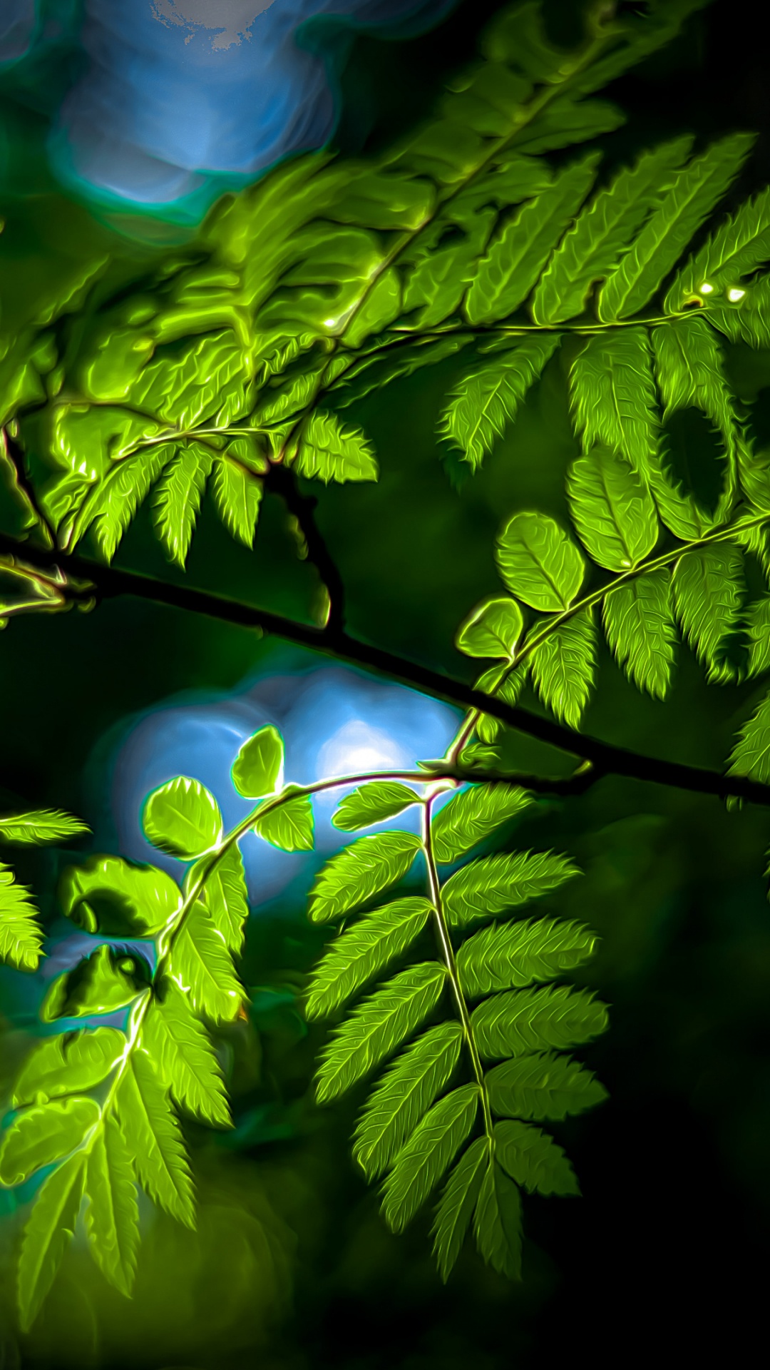 Обои природа, лист, ветвь, наземное растение, прут в разрешении 1080x1920