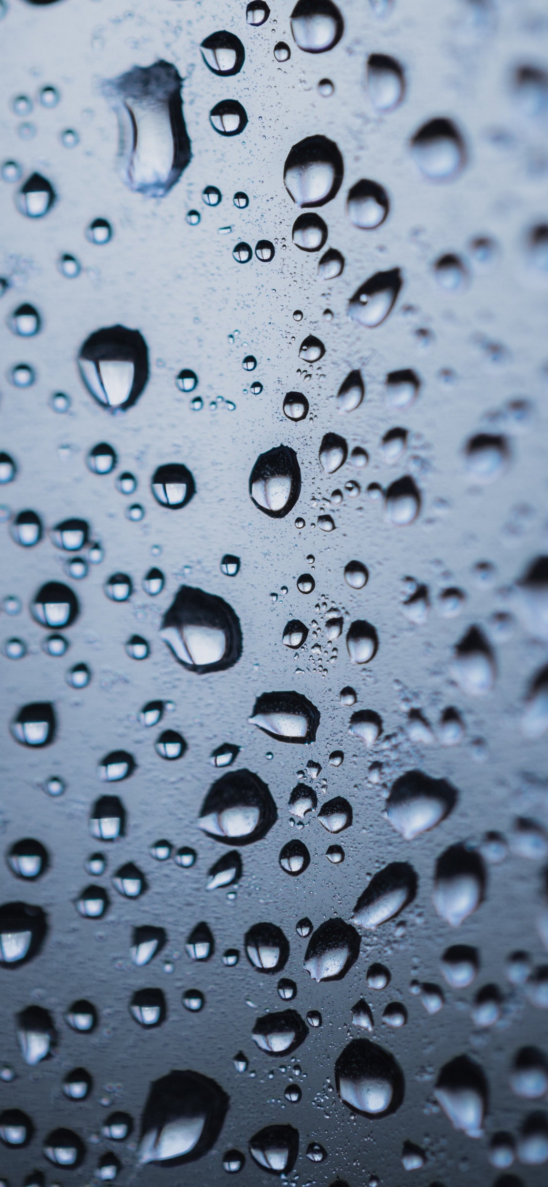 Обои роса, вода, падение, мелкий дождь, влага в разрешении 1125x2436