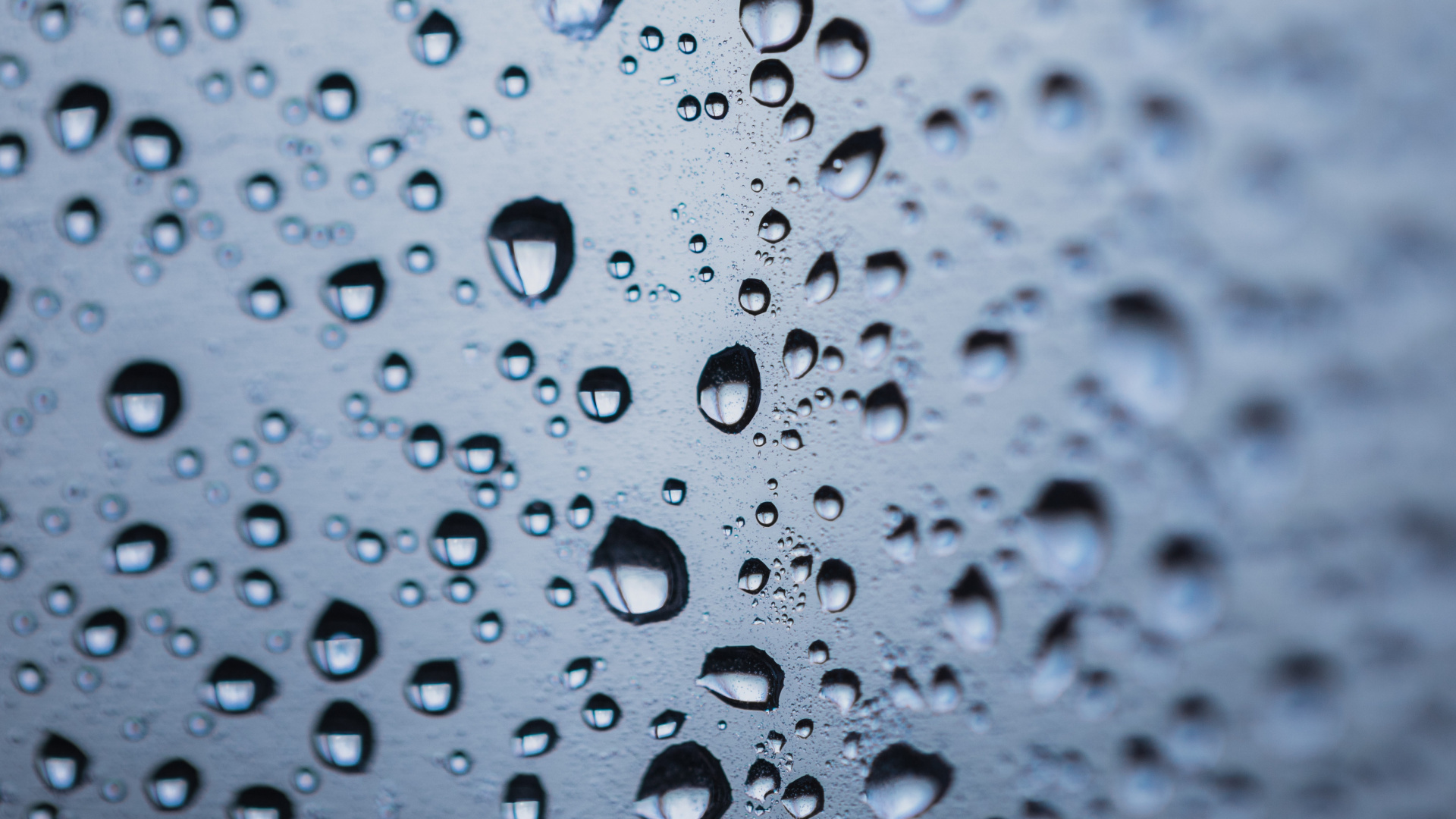Обои роса, вода, падение, мелкий дождь, влага в разрешении 1920x1080