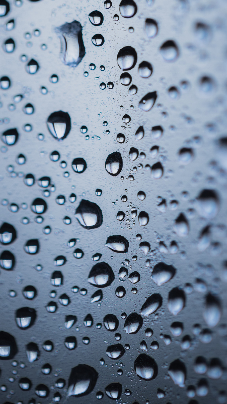 Обои роса, вода, падение, мелкий дождь, влага в разрешении 750x1334