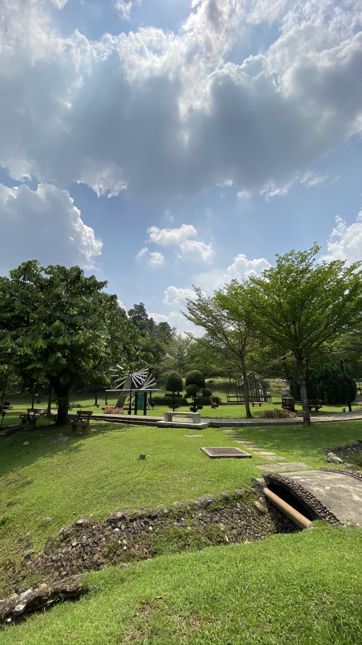 Обои водоем, дорога, природа, растительность, спортивные объекты в разрешении 720x1280