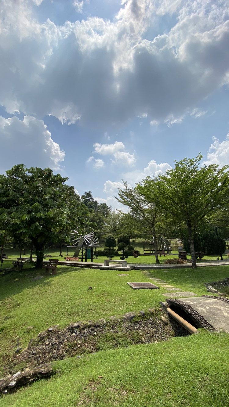 Обои водоем, дорога, природа, растительность, спортивные объекты в разрешении 750x1334