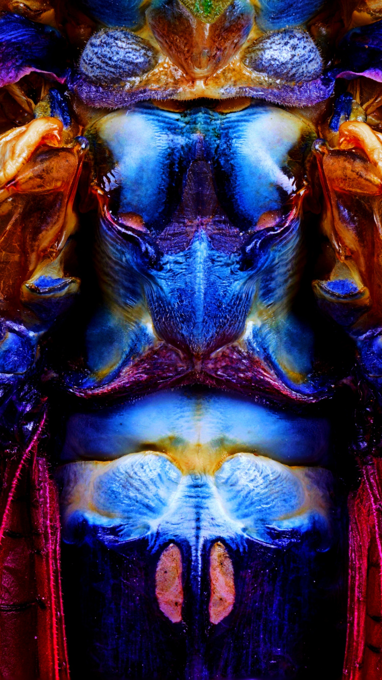 Обои спецэффекты, синий, пурпур, электрик, красочность в разрешении 750x1334