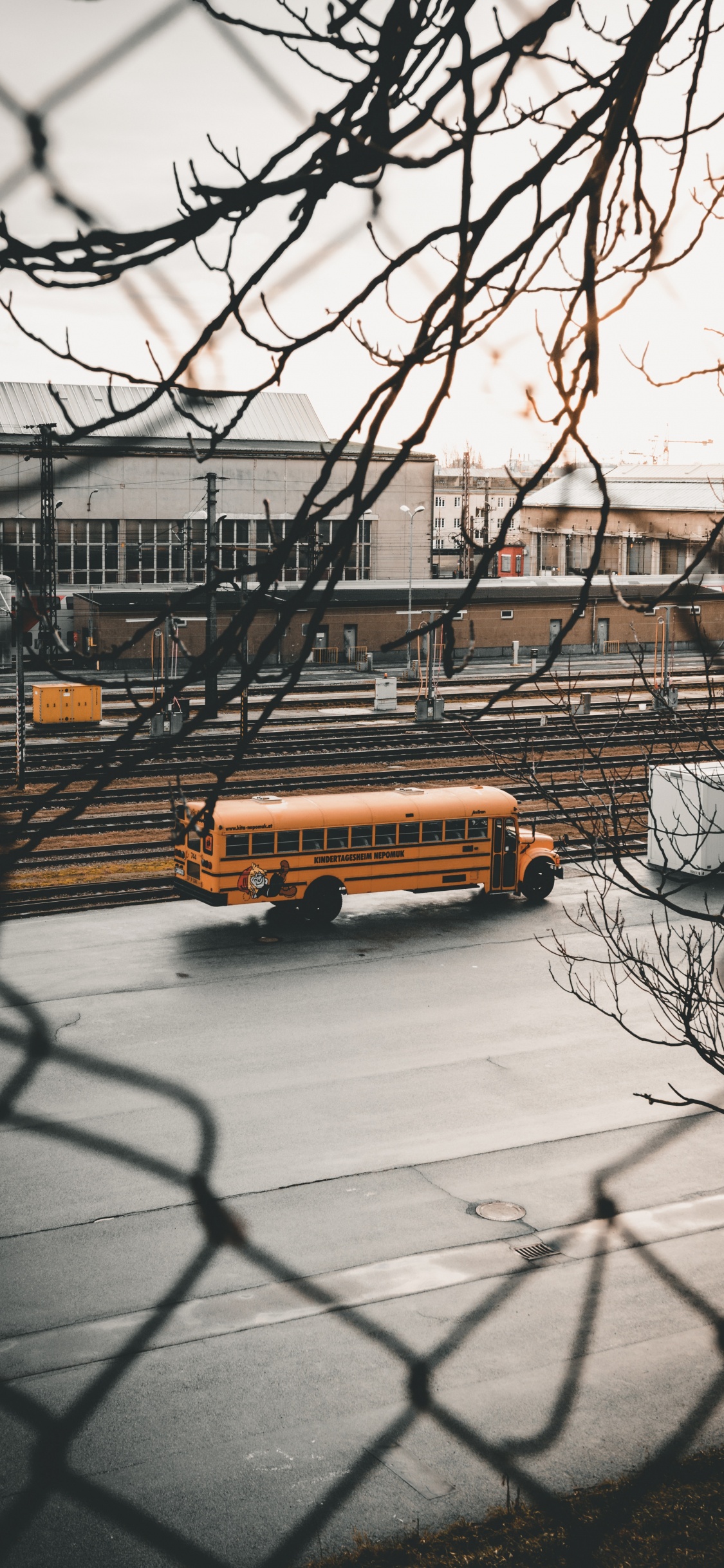 Обои автобус, зима, снег, дерево, авто в разрешении 1125x2436