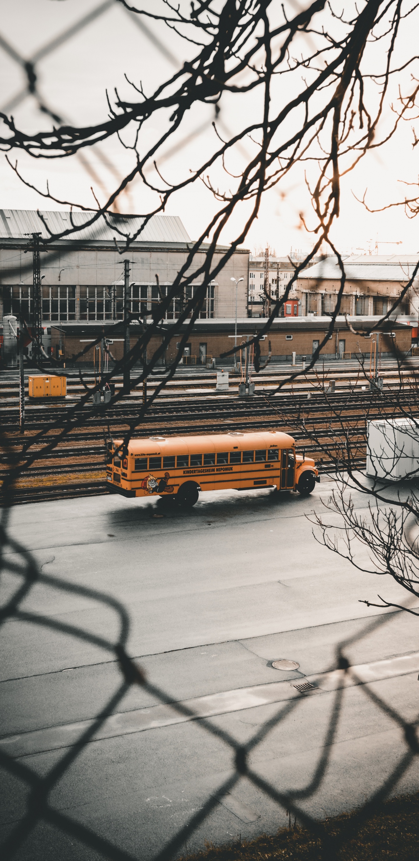 Обои автобус, зима, снег, дерево, авто в разрешении 1440x2960