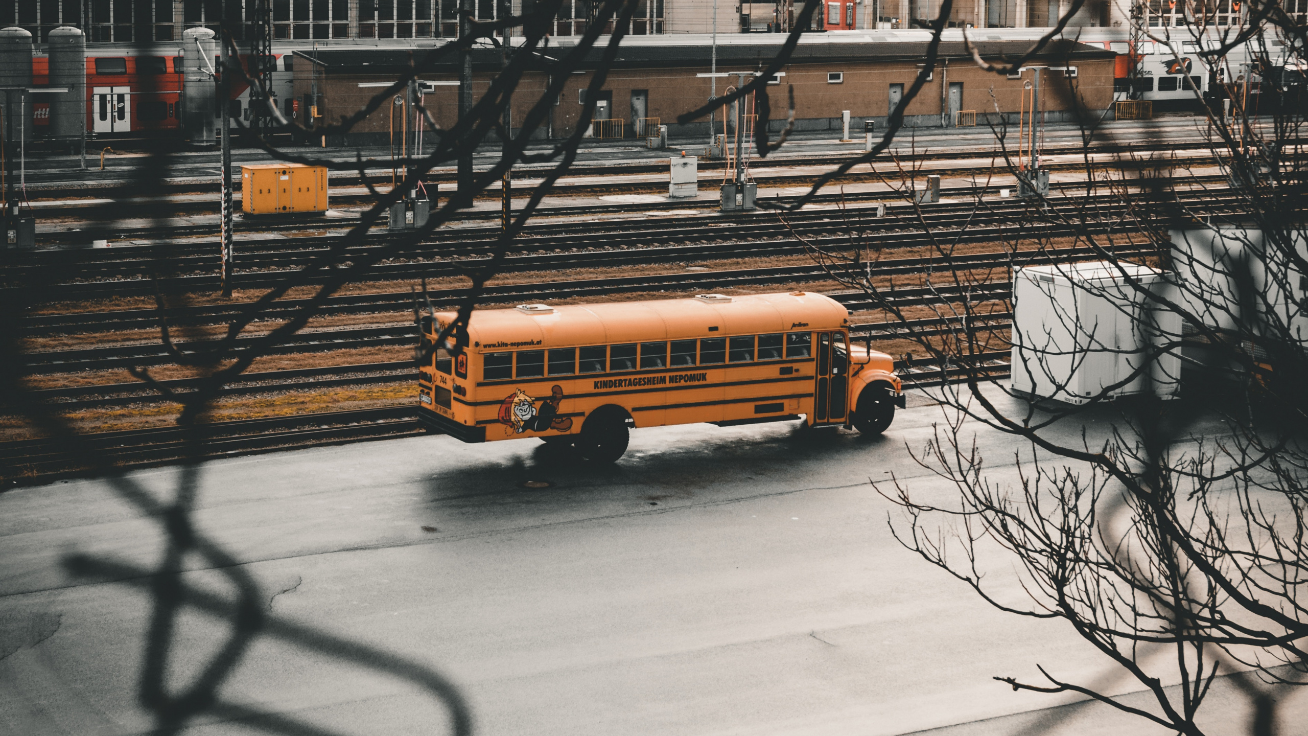 Обои автобус, зима, снег, дерево, авто в разрешении 2560x1440