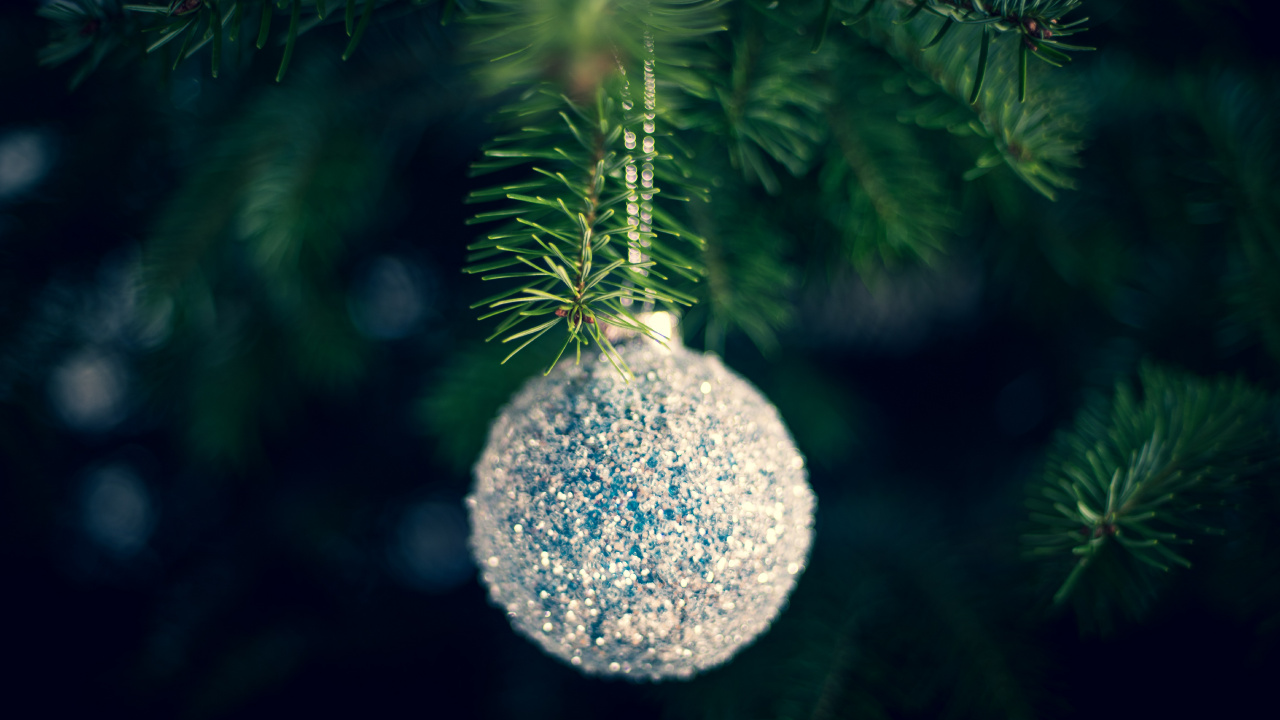 Обои Рождественский день, елка, рождественский орнамент, дерево, зеленый в разрешении 1280x720