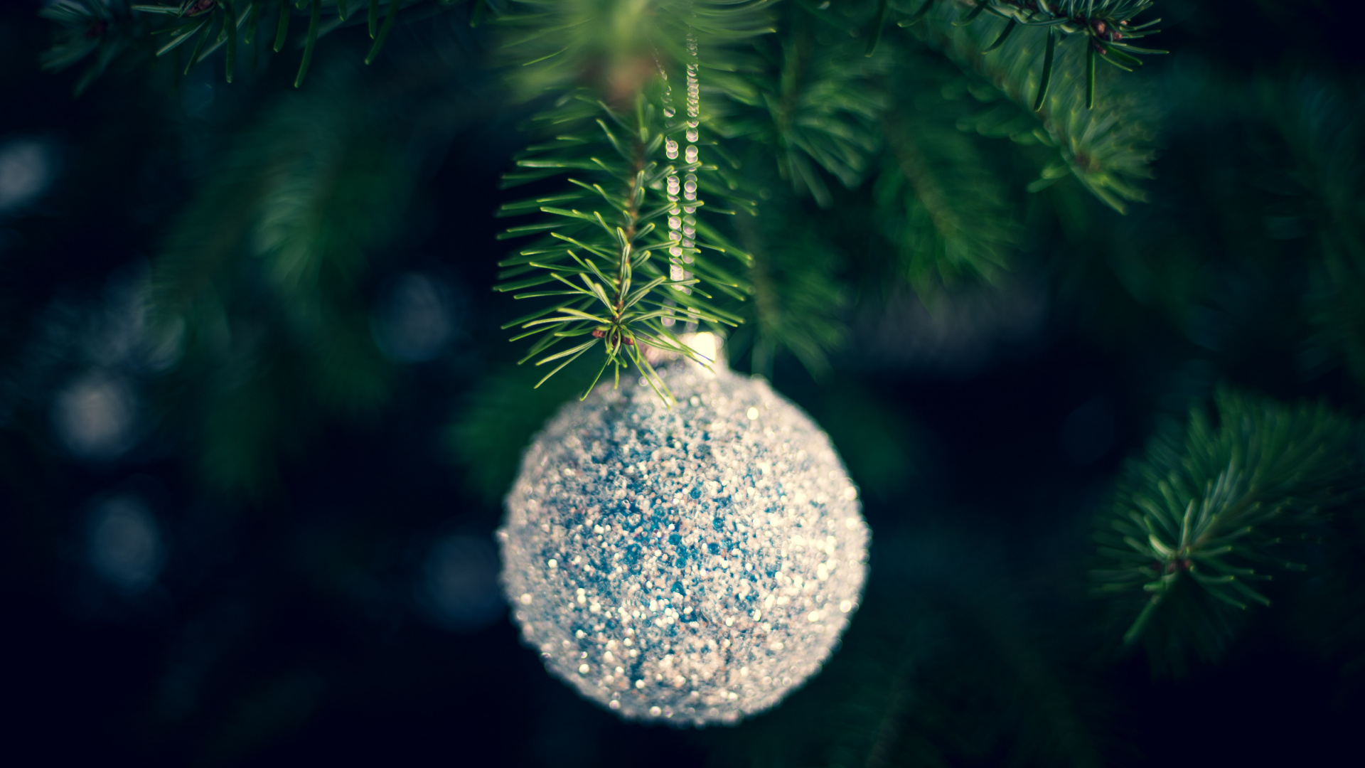 Обои Рождественский день, елка, рождественский орнамент, дерево, зеленый в разрешении 1920x1080