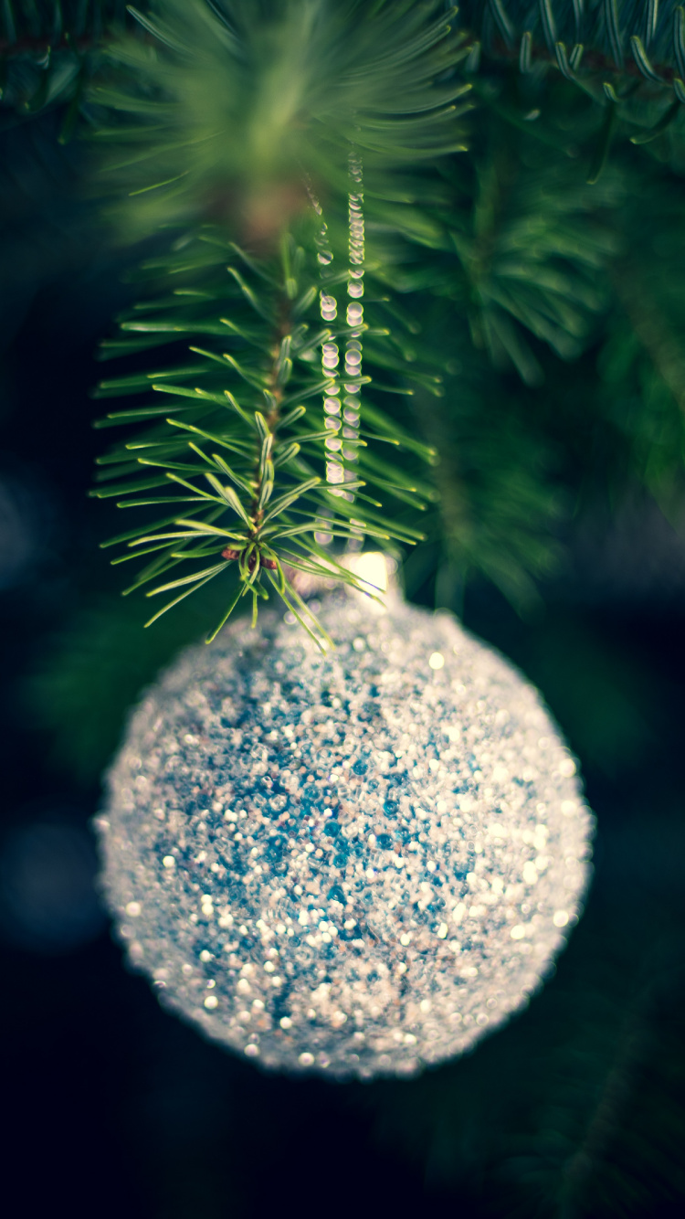 Обои Рождественский день, елка, рождественский орнамент, дерево, зеленый в разрешении 750x1334