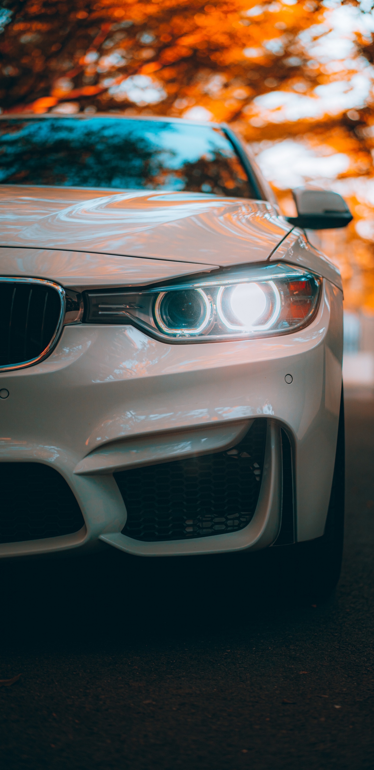 Обои bmw, спорткар, легковые автомобили, bmw m3, Байерише Моторен Верке АГ в разрешении 1440x2960