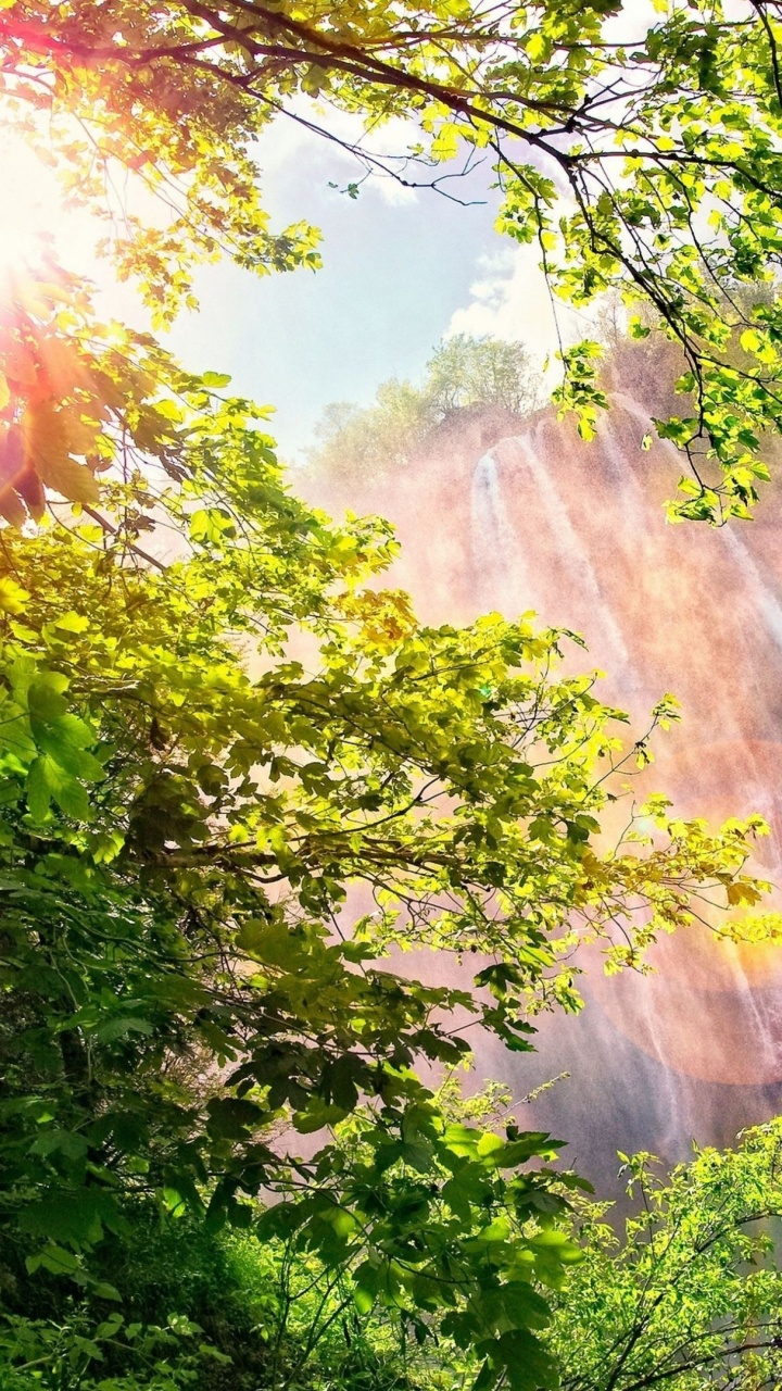 Обои водопад, природа, растительность, природный заповедник, солнечный свет в разрешении 720x1280