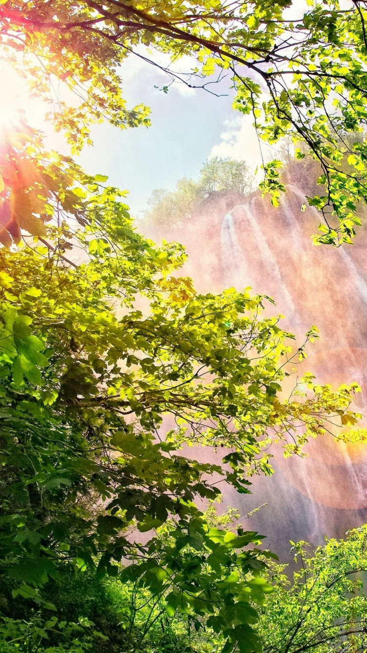 Обои водопад, природа, растительность, природный заповедник, солнечный свет в разрешении 750x1334