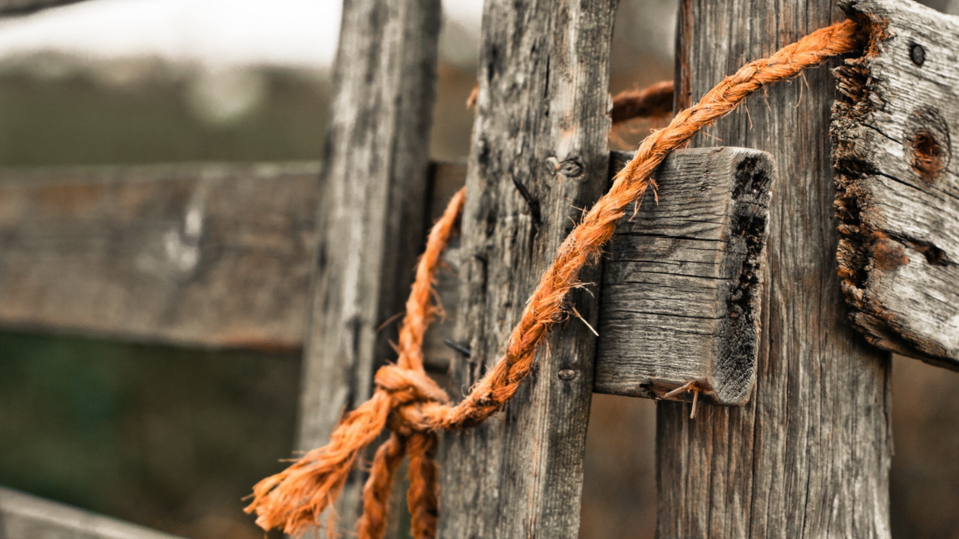 Обои забор, веревка, ржавчина, прут, ветвь в разрешении 1920x1080