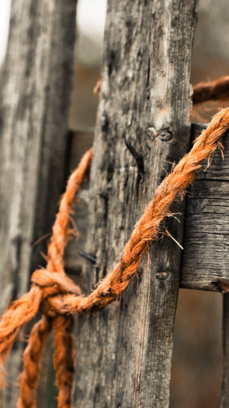 Обои забор, веревка, ржавчина, прут, ветвь в разрешении 750x1334