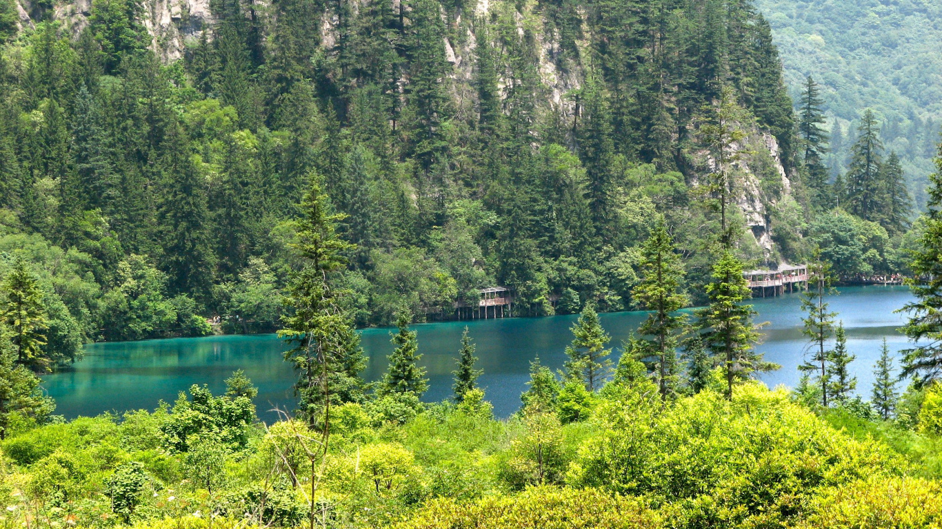 Обои природа, природный заповедник, дерево, дикая местность, озеро в разрешении 1366x768