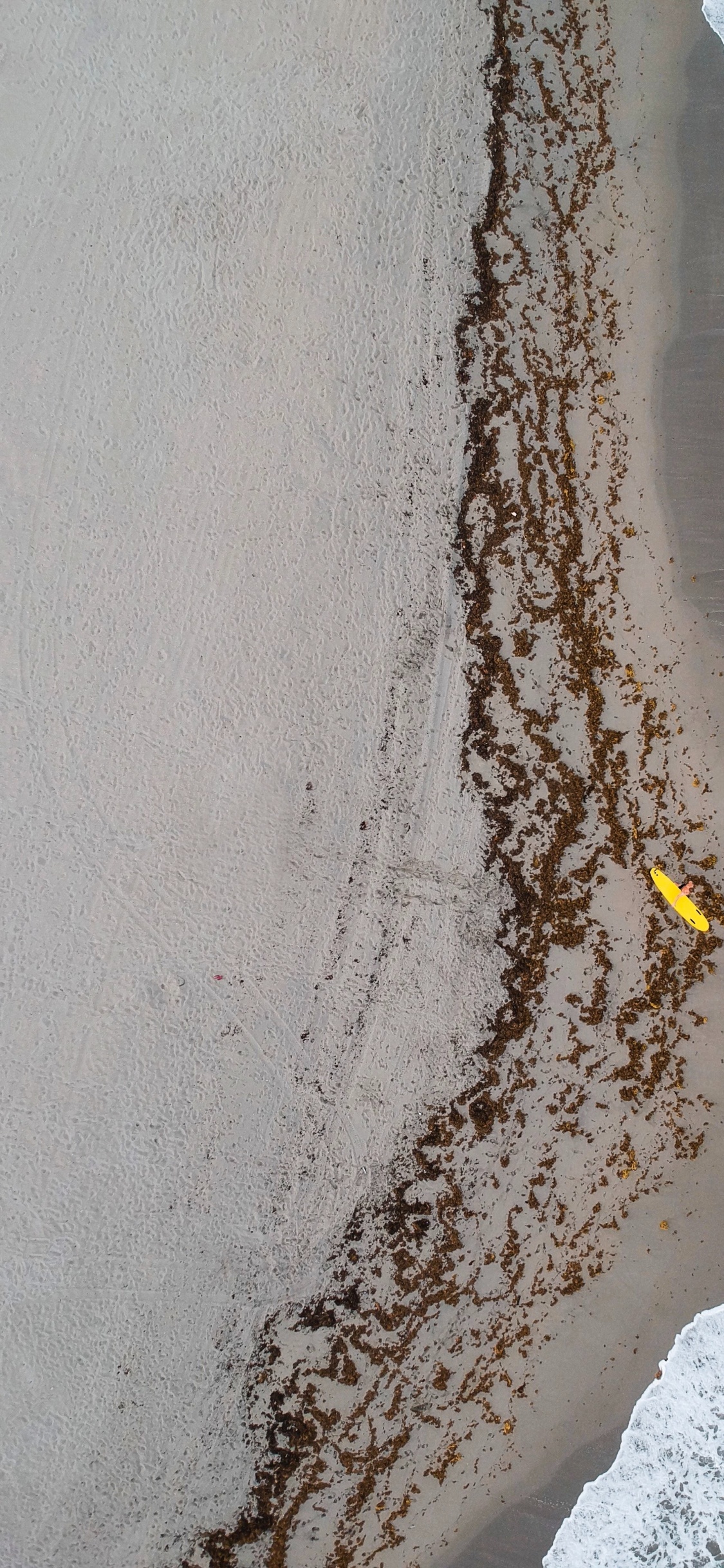 Обои побережье, море, Голливуд, волна, вода в разрешении 1125x2436