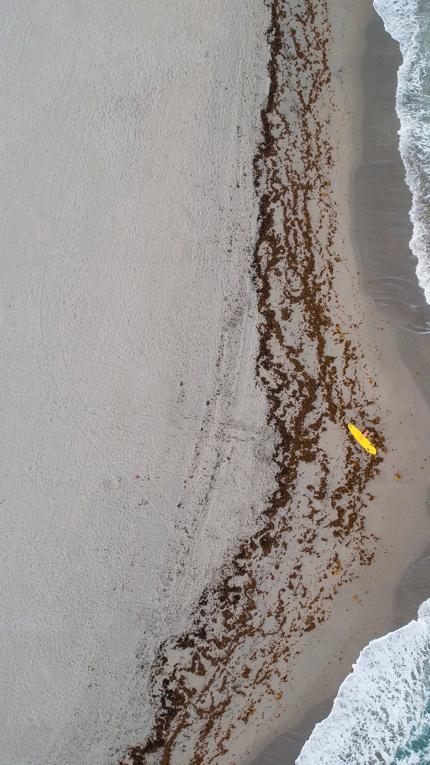 Обои побережье, море, Голливуд, волна, вода в разрешении 1440x2560