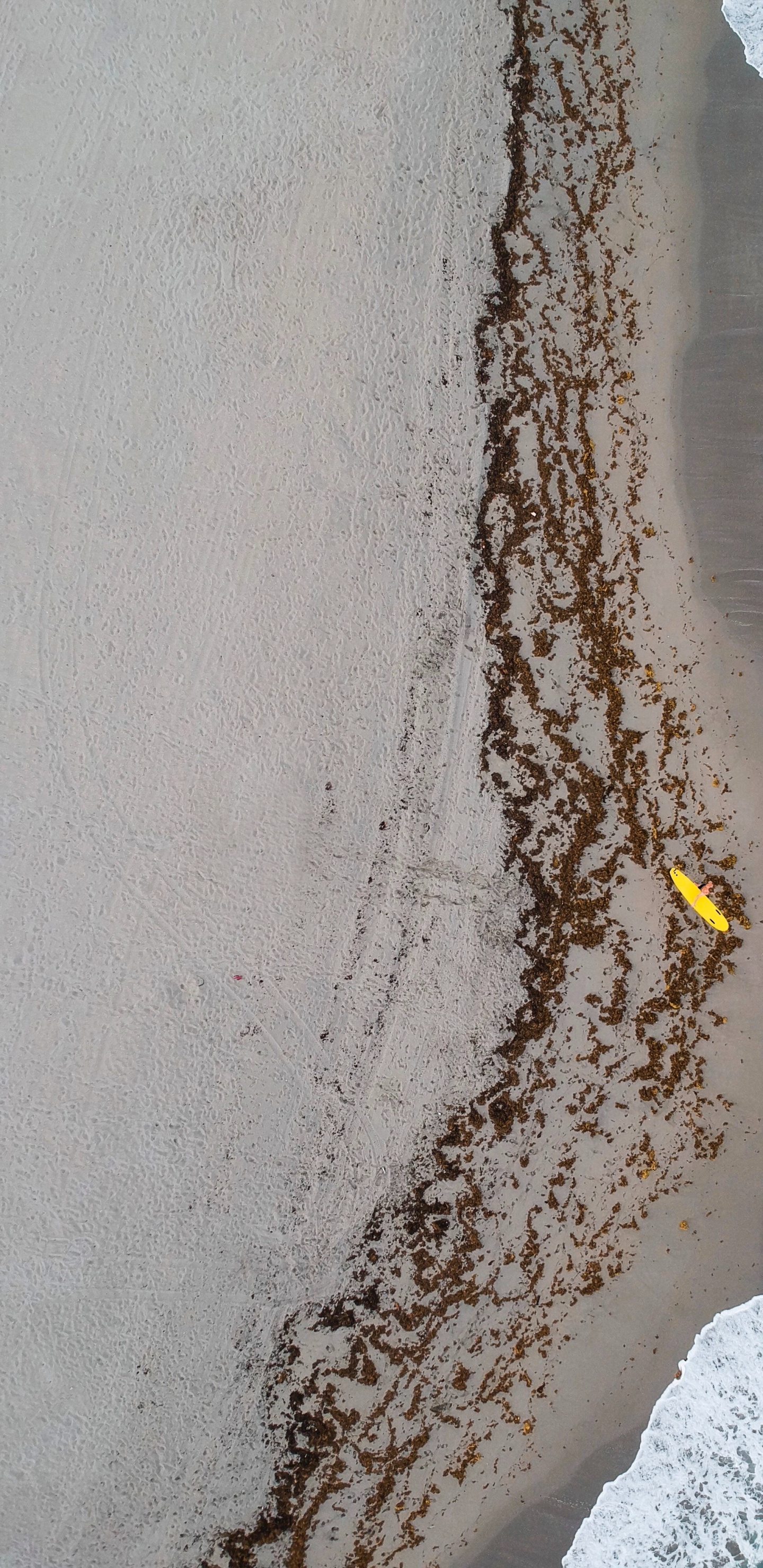 Обои побережье, море, Голливуд, волна, вода в разрешении 1440x2960