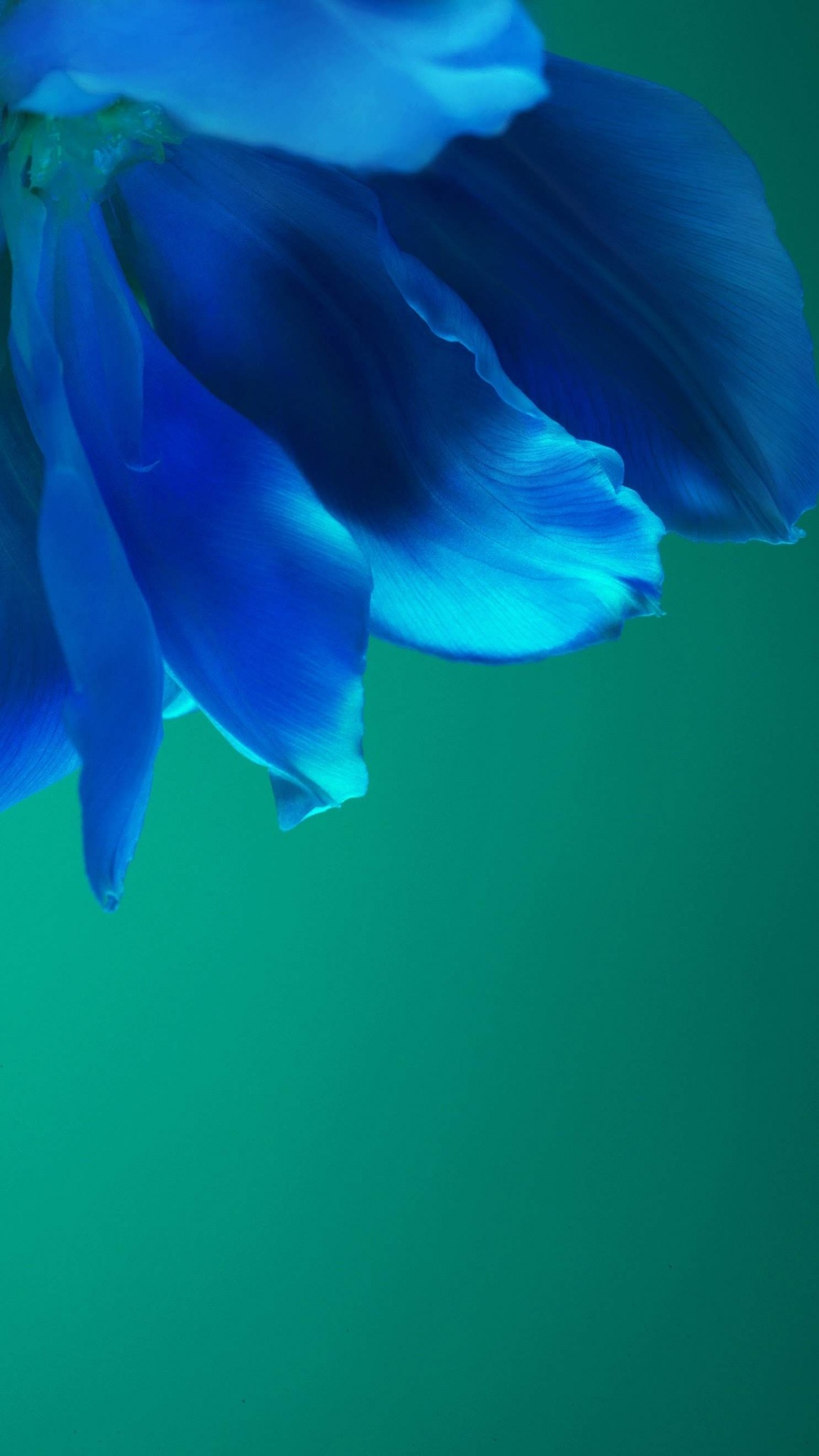 Обои Huawei, Huawei P40 Pro, huawei p40, андроид, смартфон в разрешении 1080x1920