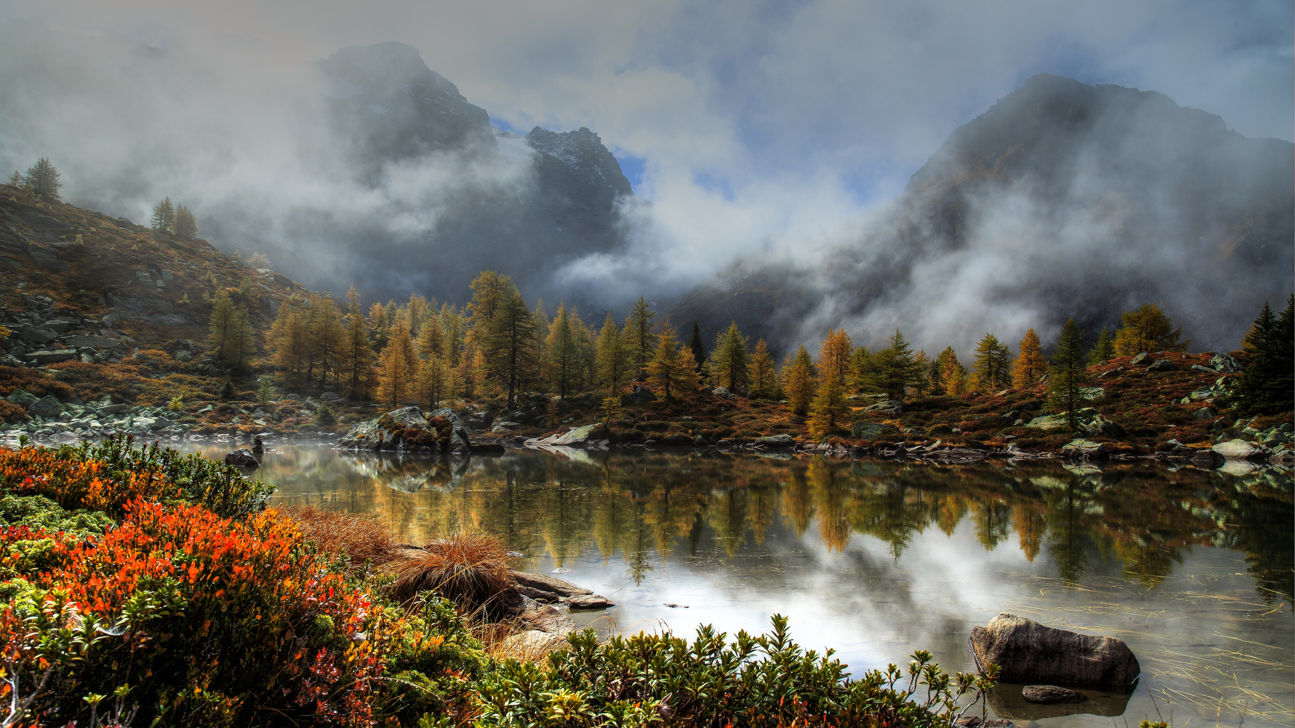 Обои природа, отражение, дикая местность, озеро, растительность в разрешении 2560x1440