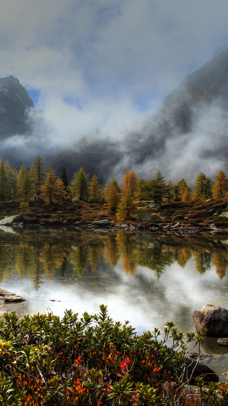 Обои природа, отражение, дикая местность, озеро, растительность в разрешении 750x1334