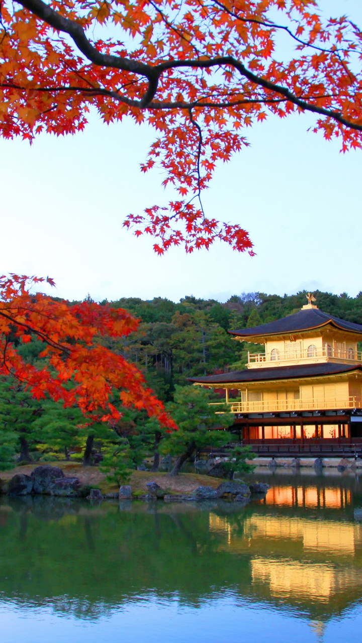 Обои путешествие, природа, отражение, дерево, лист в разрешении 720x1280