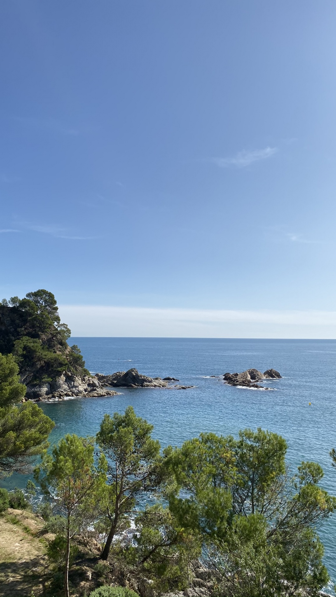 Обои побережье, море, растительность, океан, берег в разрешении 1080x1920